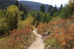 photo thumbnail #2