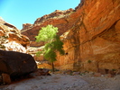 photo thumbnail #8