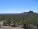 recent photo