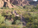 photo thumbnail #4