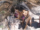 photo thumbnail #1