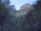 photo thumbnail #11