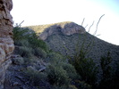 photo thumbnail #15