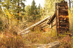 photo thumbnail #7