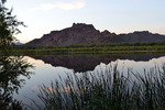 photo thumbnail #1