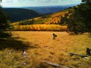 photo thumbnail #8