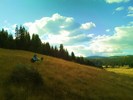 photo thumbnail #7