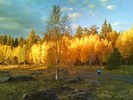 photo thumbnail #8