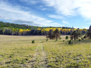 photo thumbnail #6