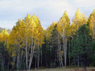 photo thumbnail #11