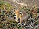 photo thumbnail #15