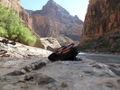 photo thumbnail #13