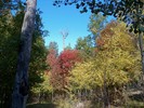photo thumbnail #2