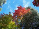 photo thumbnail #5