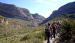 photo thumbnail #5