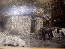 photo thumbnail #14