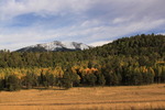 photo thumbnail #13