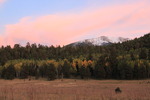 photo thumbnail #15