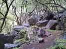 photo thumbnail #4