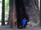 photo thumbnail #4