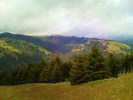 photo thumbnail #14