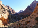 photo thumbnail #5