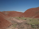 photo thumbnail #1