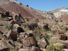 photo thumbnail #8