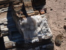 photo thumbnail #13