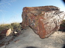 photo thumbnail #1