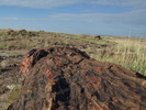 photo thumbnail #5