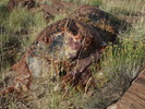 photo thumbnail #7