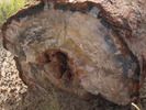 photo thumbnail #9