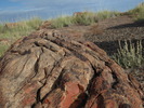 photo thumbnail #10