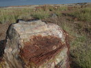 photo thumbnail #11