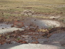 photo thumbnail #14