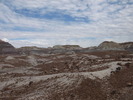 photo thumbnail #8