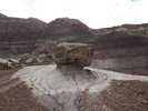 photo thumbnail #9