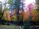 photo thumbnail #7