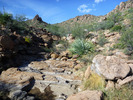 photo thumbnail #2
