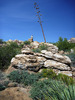 photo thumbnail #6