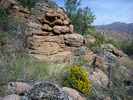 photo thumbnail #11