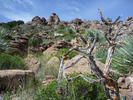 photo thumbnail #12