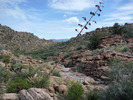 photo thumbnail #13