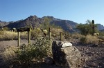 photo thumbnail #1
