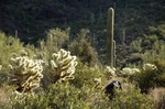 photo thumbnail #4