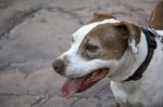 photo thumbnail #9