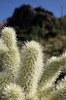 photo thumbnail #12