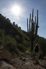 photo thumbnail #15