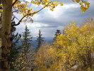 photo thumbnail #9